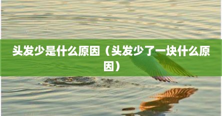 头发少是什么原因（头发少了一块什么原因）