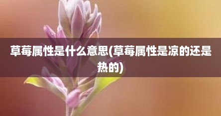 草莓属性是什么意思(草莓属性是凉的还是热的)