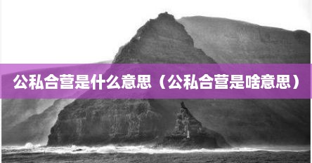 公私合营是什么意思（公私合营是啥意思）