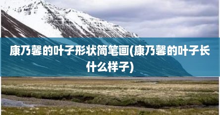 康乃馨的叶子形状简笔画(康乃馨的叶子长什么样子)