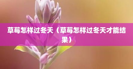 草莓怎样过冬天（草莓怎样过冬天才能结果）