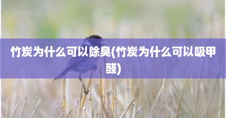 竹炭为什么可以除臭(竹炭为什么可以吸甲醛)
