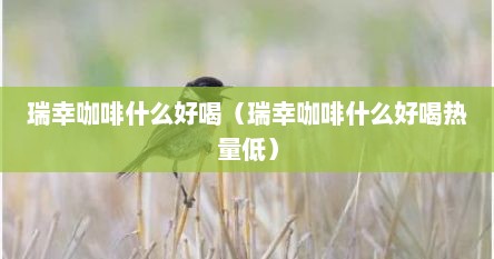 瑞幸咖啡什么好喝（瑞幸咖啡什么好喝热量低）
