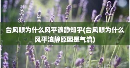 台风眼为什么风平浪静知乎(台风眼为什么风平浪静原因是气流)