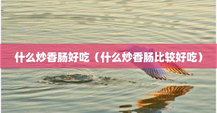 什么炒香肠好吃（什么炒香肠比较好吃）