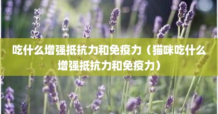 吃什么增强抵抗力和免疫力（猫咪吃什么增强抵抗力和免疫力）