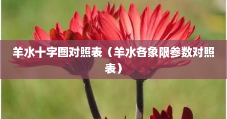 羊水十字图对照表（羊水各象限参数对照表）