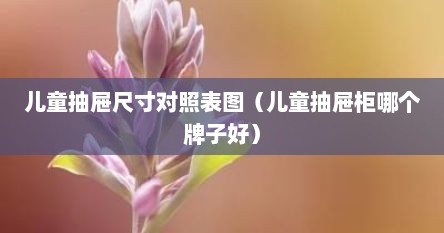 儿童抽屉尺寸对照表图（儿童抽屉柜哪个牌子好）