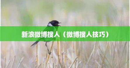 新浪微博搜人（微博搜人技巧）