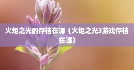 火炬芝光的存档在哪（火炬芝光3游戏存档在哪）