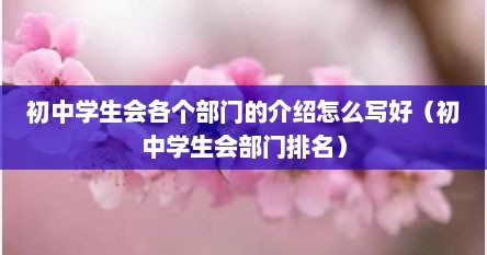 初中学生会各个部门的介绍怎么写好（初中学生会部门排名）