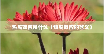 热岛效应是什么（热岛效应的含义）