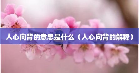 人心向背的意思是什么（人心向背的解释）