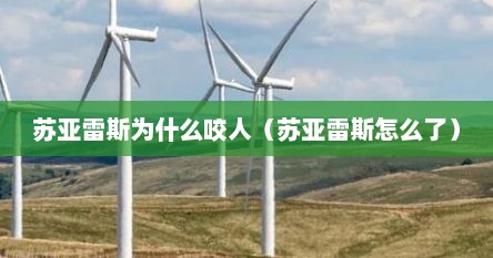 苏亚雷斯为什么咬人（苏亚雷斯怎么了）