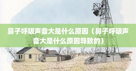 鼻子呼吸声音大是什么原因（鼻子呼吸声音大是什么原因导致的）