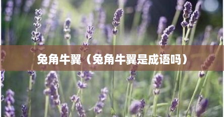 兔角牛翼（兔角牛翼是成语吗）