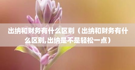 出纳和财务有什么区别（出纳和财务有什么区别,出纳是不是轻松一点）