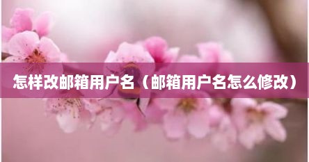 怎样改邮箱用户名（邮箱用户名怎么修改）