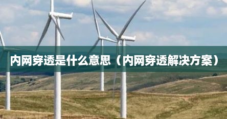 内网穿透是什么意思（内网穿透解决方案）