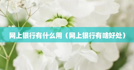 网上银行有什么用（网上银行有啥好处）