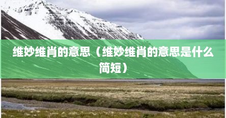 维妙维肖的意思（维妙维肖的意思是什么简短）