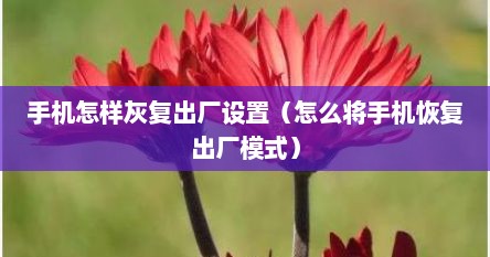 手机怎样灰复出厂设置（怎么将手机恢复出厂模式）