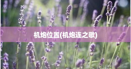 机炮位置(机炮连之歌)