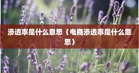 渗透率是什么意思（电商渗透率是什么意思）