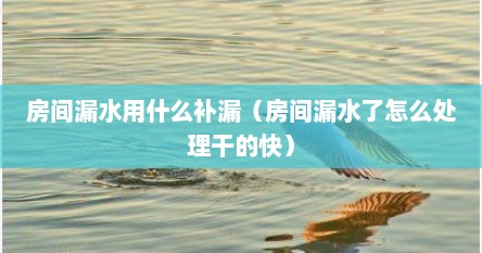 房间漏水用什么补漏（房间漏水了怎么处理干的快）