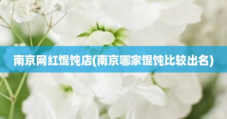 南京网红馄饨店(南京哪家馄饨比较出名)