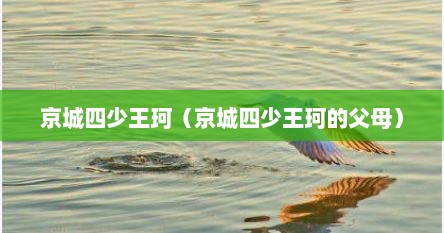 京城四少王珂（京城四少王珂的父母）