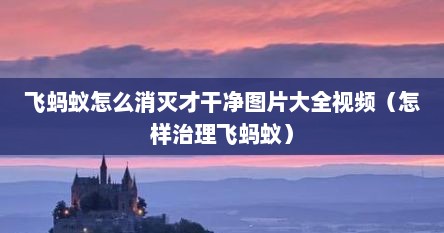飞蚂蚁怎么消灭才干净图片大全视频（怎样治理飞蚂蚁）