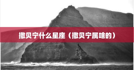撒贝宁什么星座（撒贝宁属啥的）