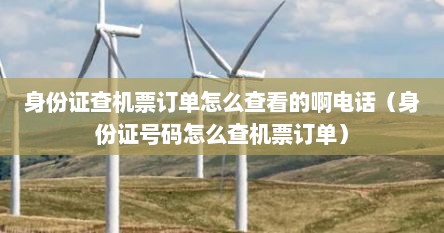 身份证查机票订单怎么查看的啊电话（身份证号码怎么查机票订单）