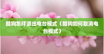 酷狗怎样退出电台模式（酷狗如何取消电台模式）
