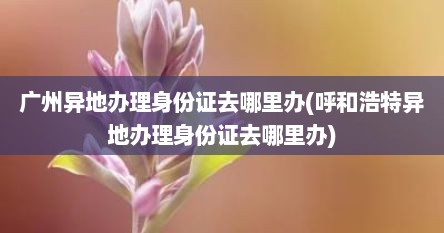 广州异地办理身份证去哪里办(呼和浩特异地办理身份证去哪里办)