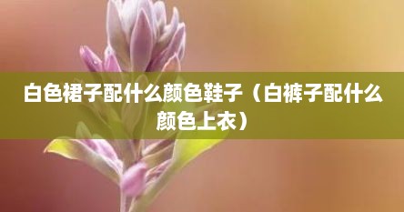 白色裙子配什么颜色鞋子（白裤子配什么颜色上衣）