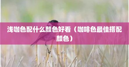 浅咖色配什么颜色好看（咖啡色最佳搭配颜色）