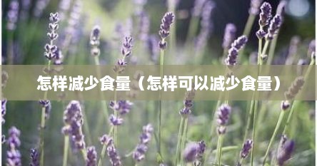 怎样减少食量（怎样可以减少食量）