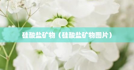 硅酸盐矿物（硅酸盐矿物图片）