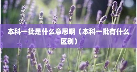 本科一批是什么意思啊（本科一批有什么区别）