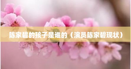 陈家碧的孩子是谁的（演员陈家碧现状）