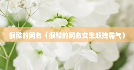 很酷的网名（很酷的网名女生超拽霸气）