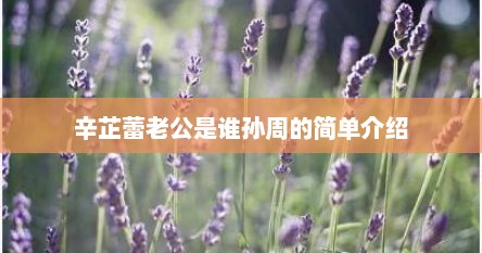辛芷蕾老公是谁孙周的简单介绍