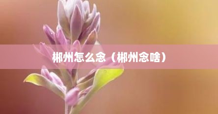 郴州怎么念（郴州念啥）
