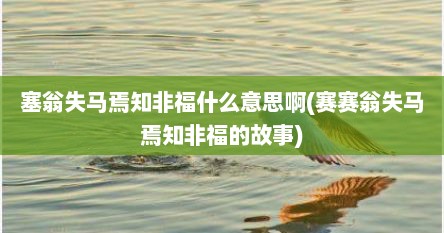 塞翁失马焉知非福什么意思啊(赛赛翁失马焉知非福的故事)
