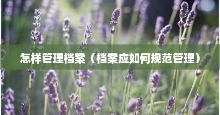怎样管理档案（档案应如何规范管理）
