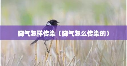 脚气怎样传染（脚气怎么传染的）