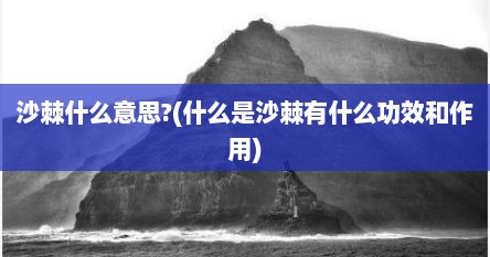 沙棘什么意思?(什么是沙棘有什么功效和作用)