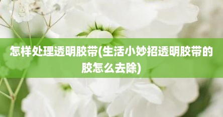 怎样处理透明胶带(生活小妙招透明胶带的胶怎么去除)